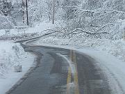 DSCF0371